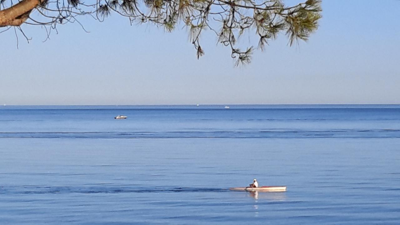 Appart Bleu Azur Lägenhet Saint-Florent  Exteriör bild